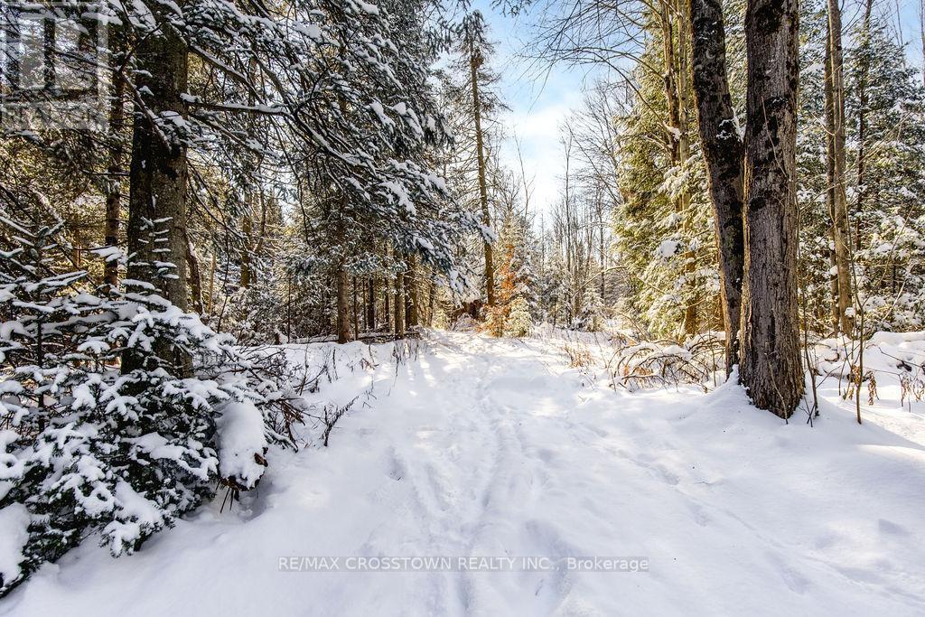 12036 County Rd 27, Springwater, ON - Outdoor With View