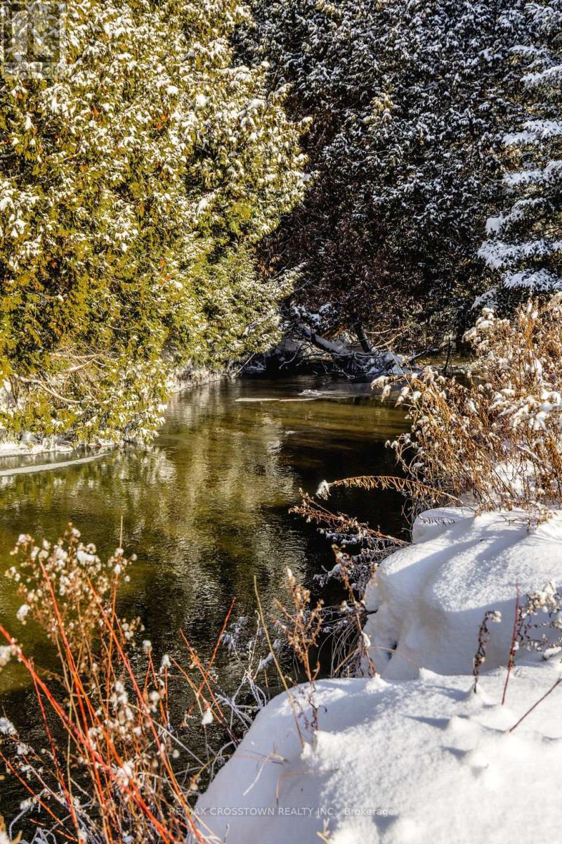 12036 County Rd 27, Springwater, ON - Outdoor With View