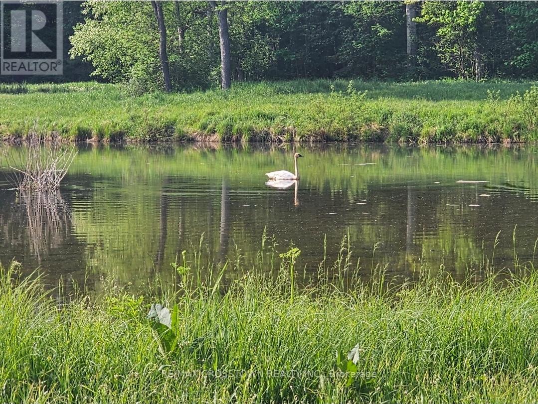 12036 County Rd 27, Springwater, ON - Outdoor With View