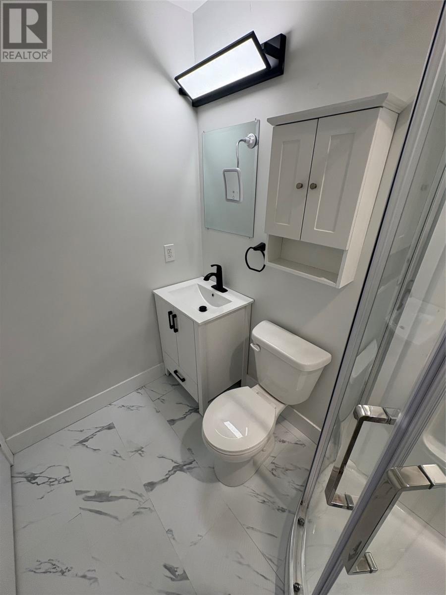 6 Mcdonald Crescent, Bishop'S Falls, NL - Indoor Photo Showing Bathroom