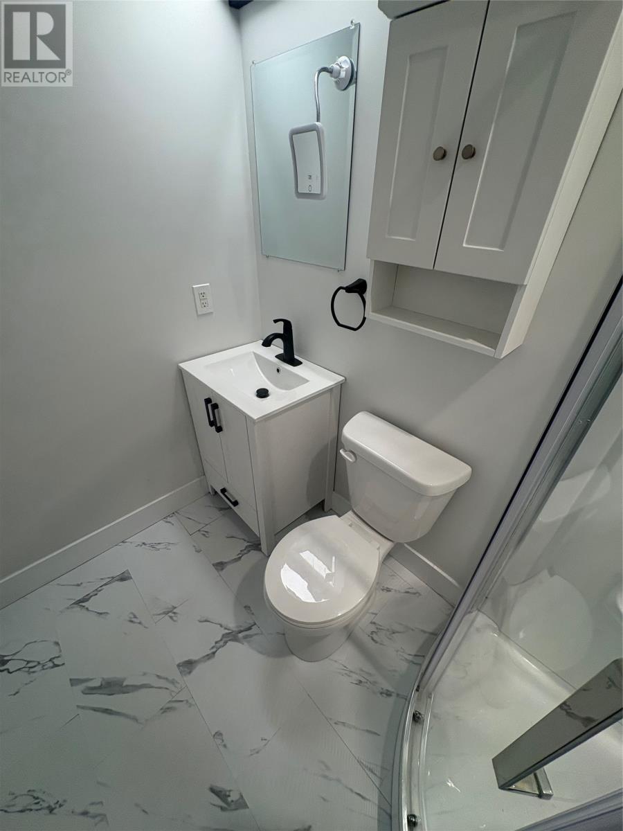 6 Mcdonald Crescent, Bishop'S Falls, NL - Indoor Photo Showing Bathroom