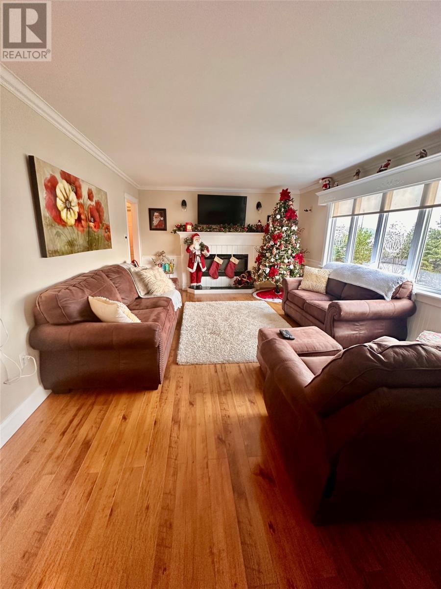 88 Main Road, Lewins Cove, NL - Indoor Photo Showing Living Room
