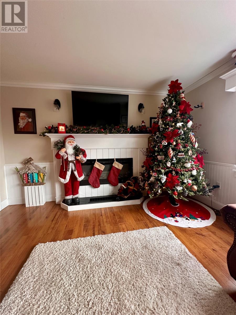 88 Main Road, Lewins Cove, NL - Indoor Photo Showing Living Room With Fireplace