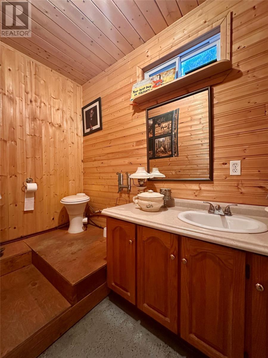 88 Main Road, Lewins Cove, NL - Indoor Photo Showing Bathroom