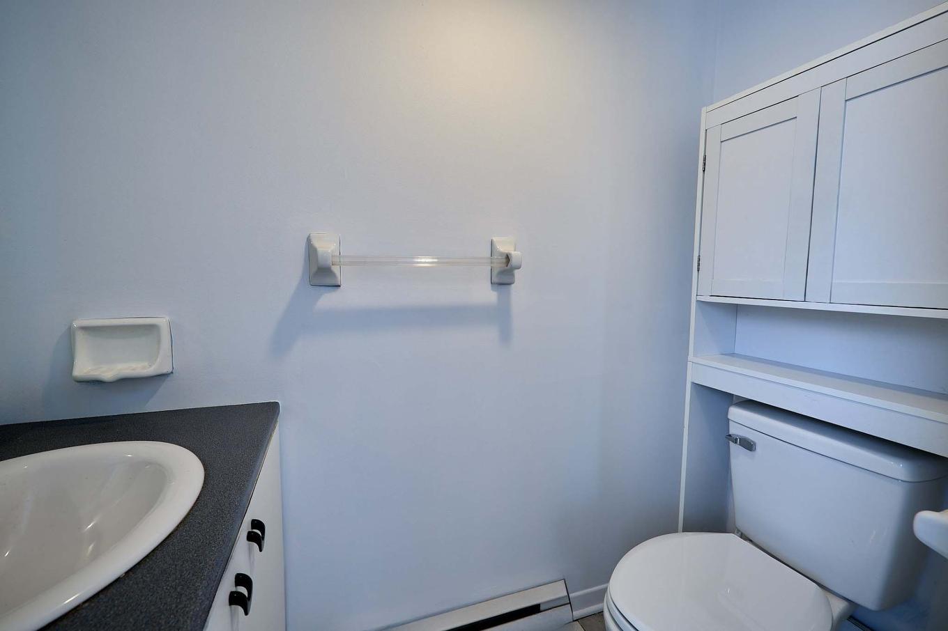 Salle d'eau - 1700 Rue Des Bégonias, Terrebonne (La Plaine), QC - Indoor Photo Showing Bathroom