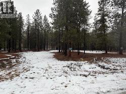 168 RIVER Drive Cranbrook, BC V1C 0C6