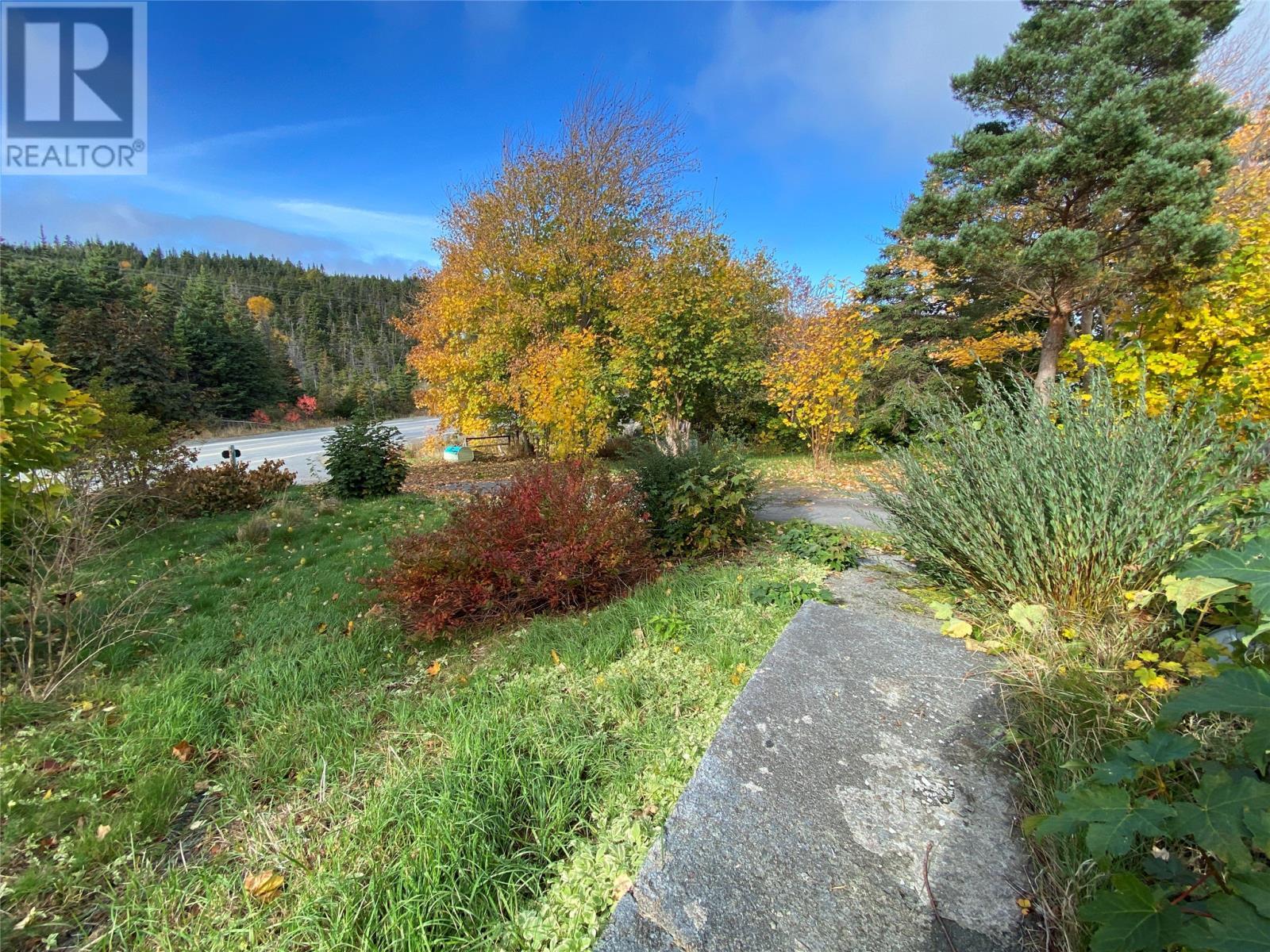 129 Roaches Line Road, Roaches Line, NL - Outdoor With View