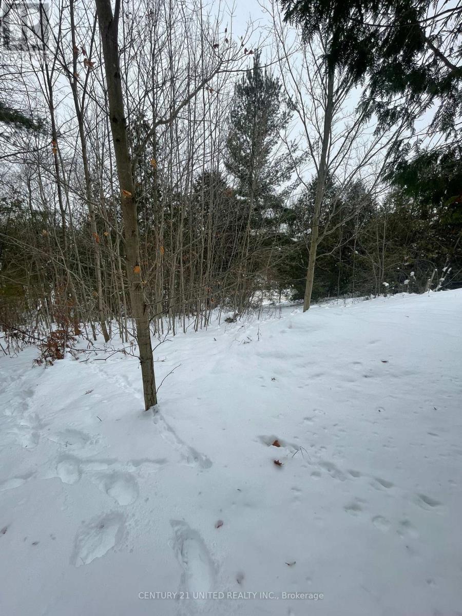 Ptlt 37 Trent View Drive, Trent Hills, ON