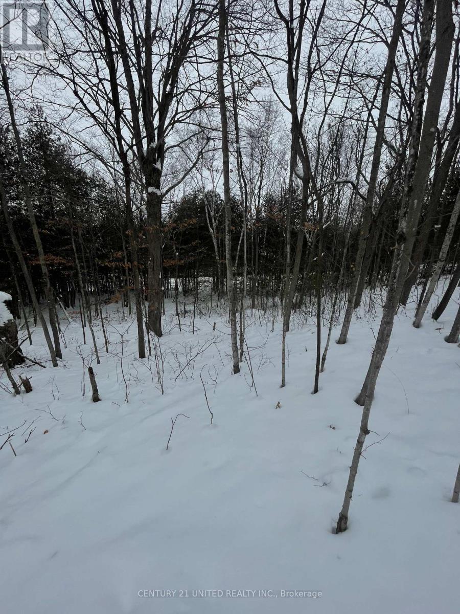 Ptlt 37 Trent View Drive, Trent Hills, ON