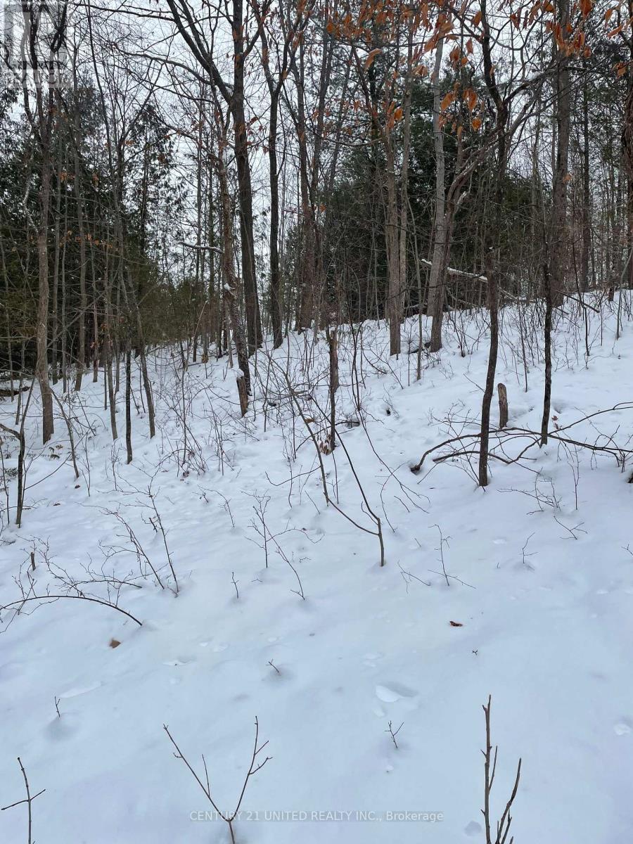 Ptlt 37 Trent View Drive, Trent Hills, ON