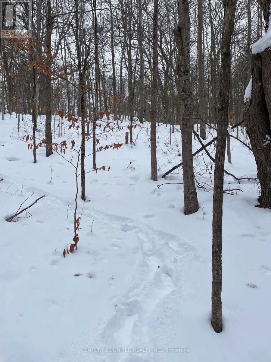 Ptlt 37 Trent View Drive, Trent Hills, ON