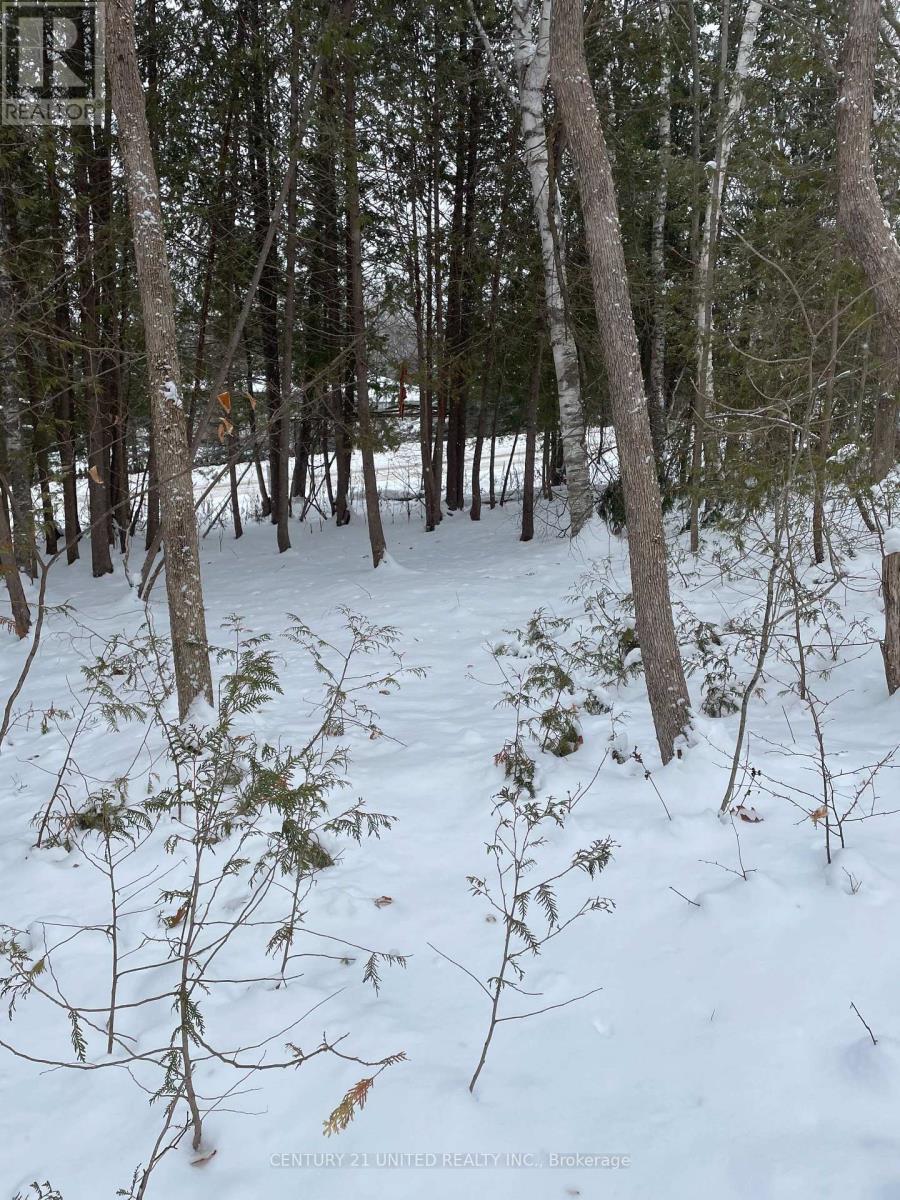 Ptlt 37 Trent View Drive, Trent Hills, ON