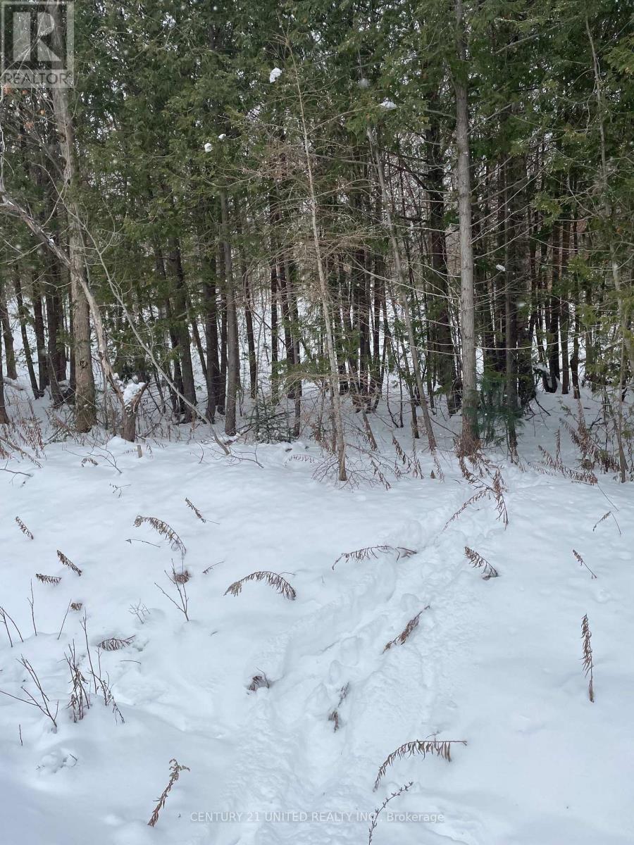 Ptlt 37 Trent View Drive, Trent Hills, ON