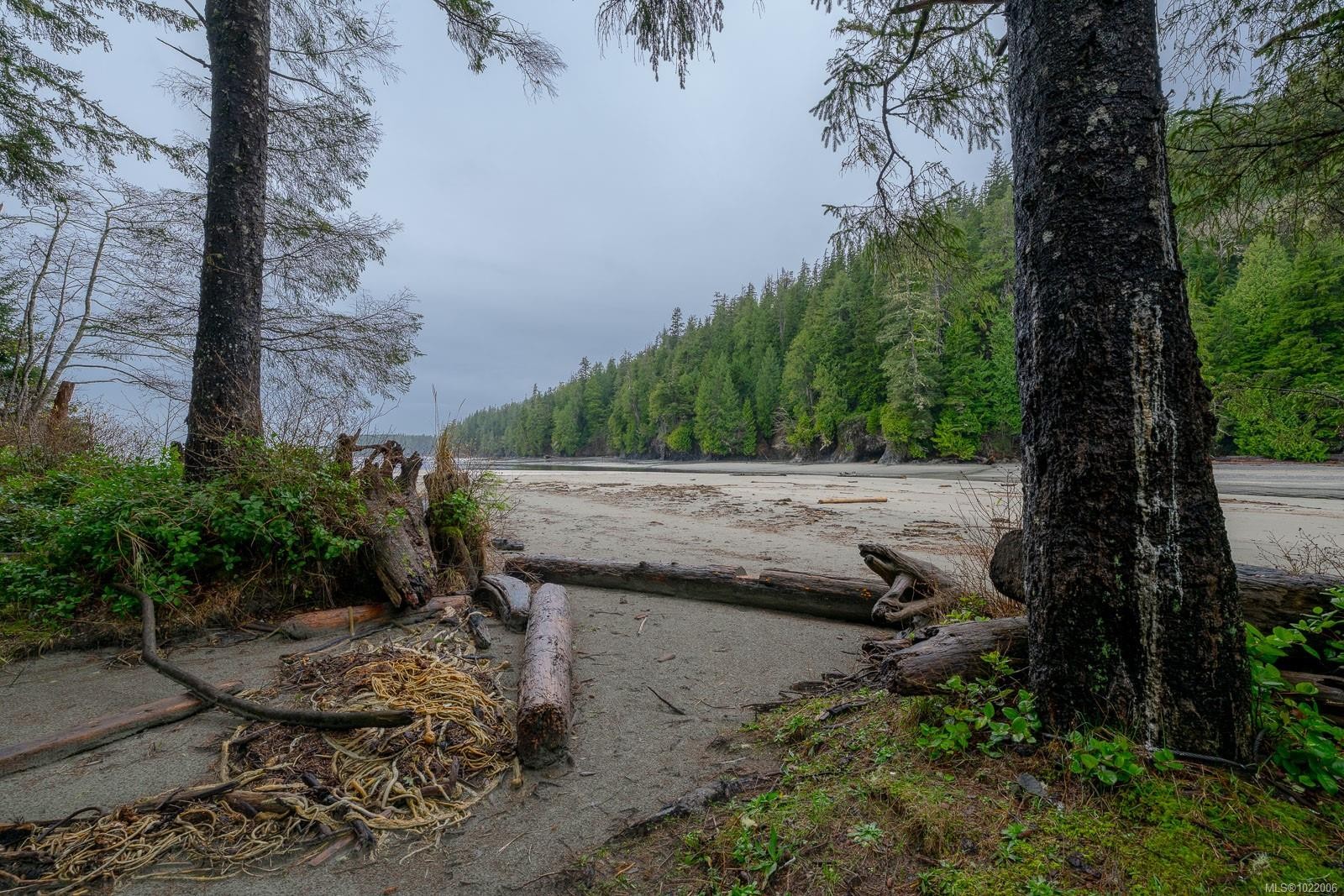 230 Clutus Rd, Bamfield, BC