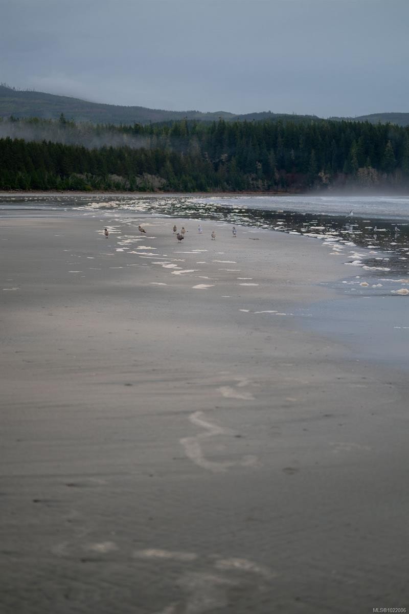 230 Clutus Rd, Bamfield, BC