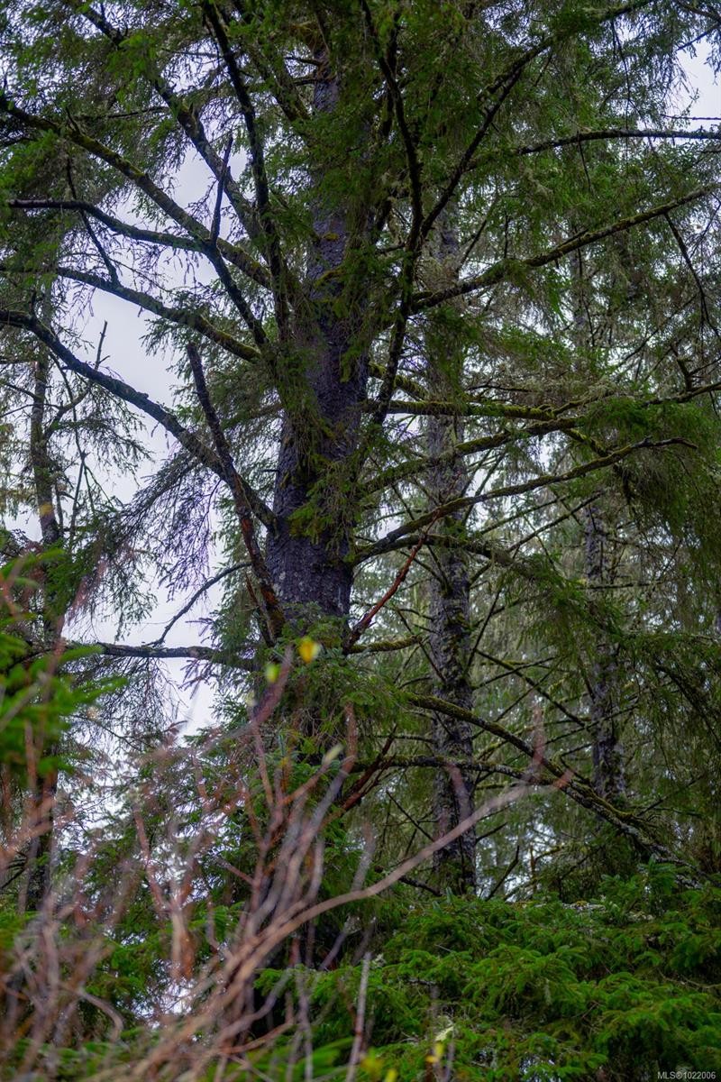230 Clutus Rd, Bamfield, BC