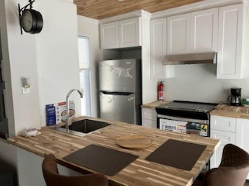 Kitchen - 2951 Rue Des Hydrangées, Shawinigan, QC - Indoor Photo Showing Kitchen