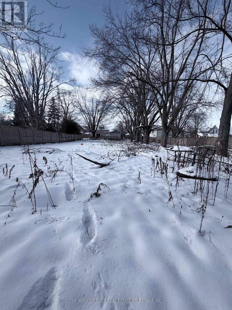 231 County Rd 28 Road, Otonabee-South Monaghan, ON - Outdoor With View