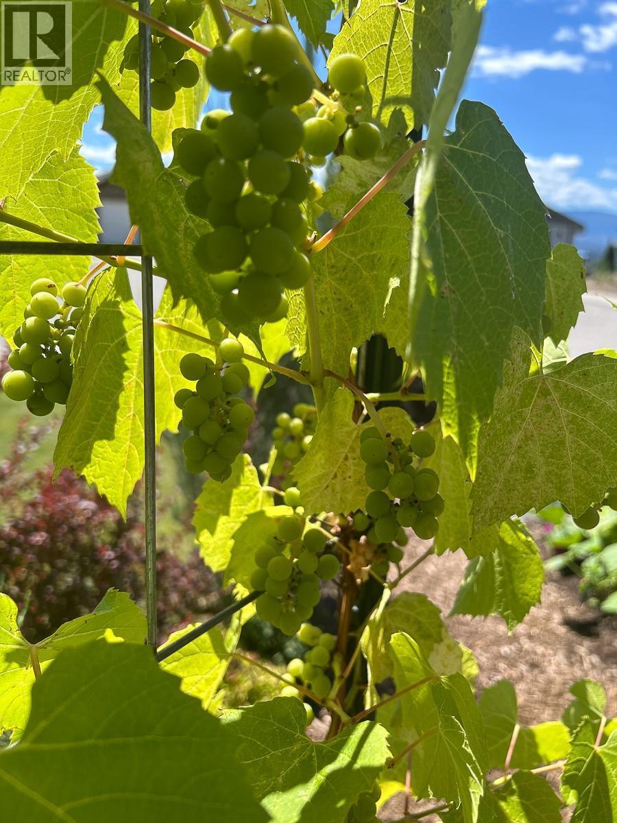 3166 Mustang Court, Kelowna, BC - Outdoor With View