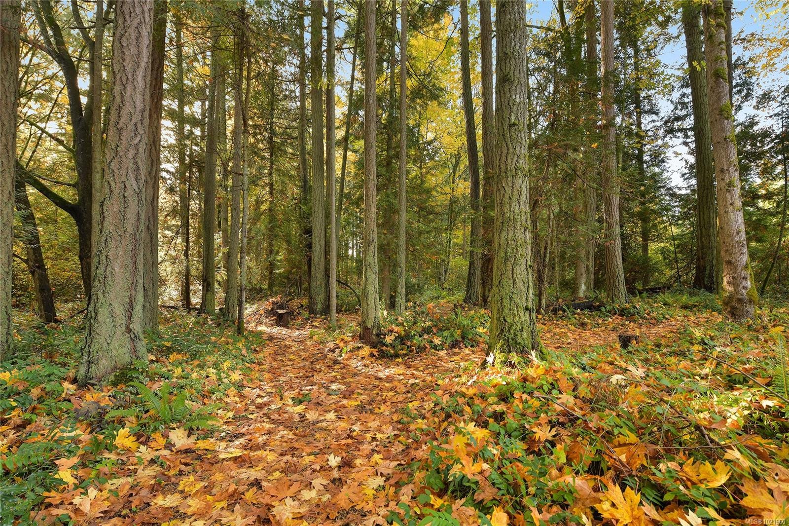 851 Sayward Rd, Saanich, BC