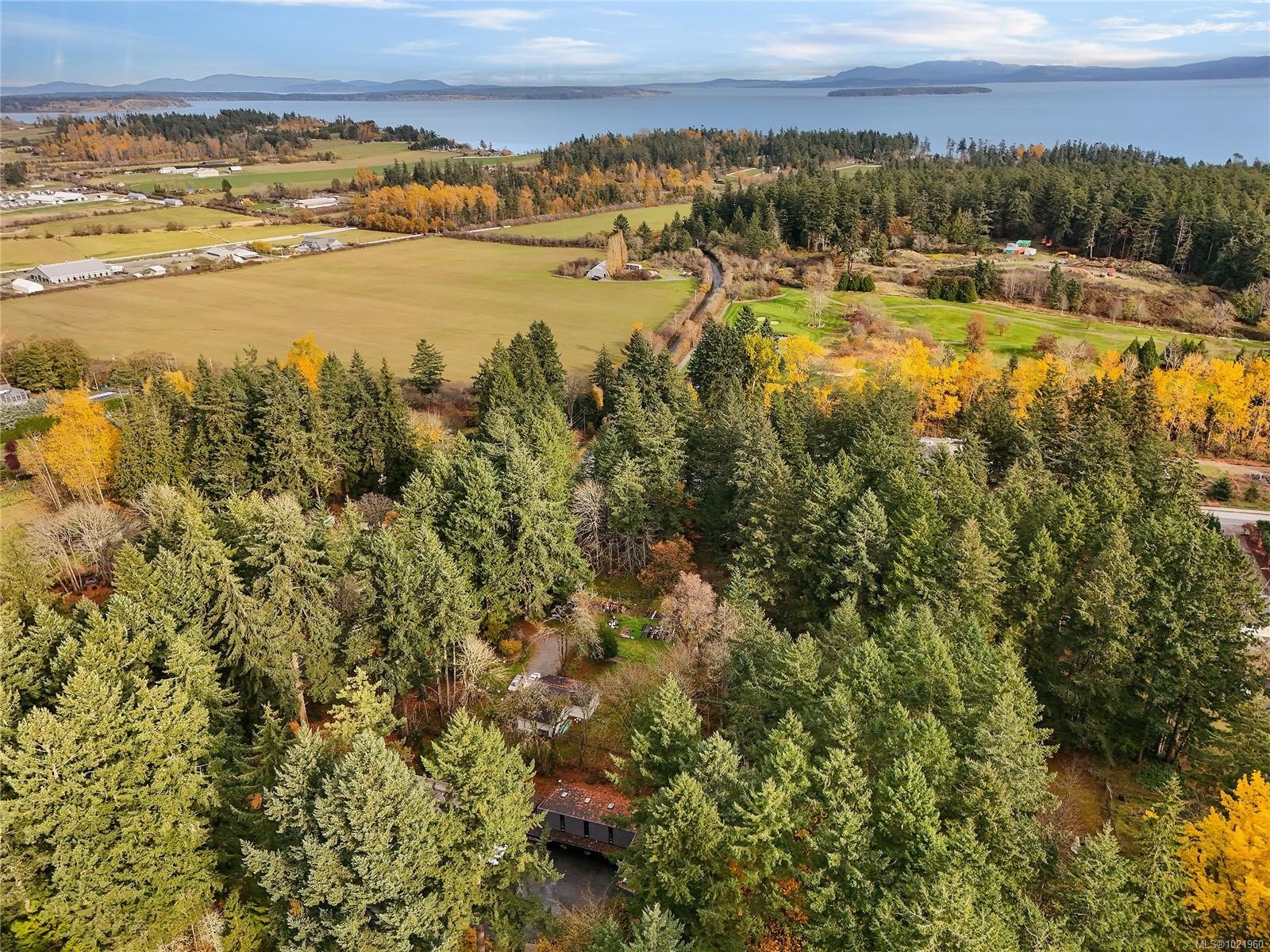 851 Sayward Rd, Saanich, BC