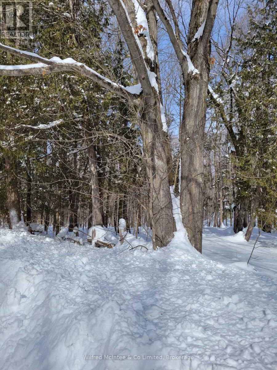 Ptlt 26 Mulock Road, West Grey, ON