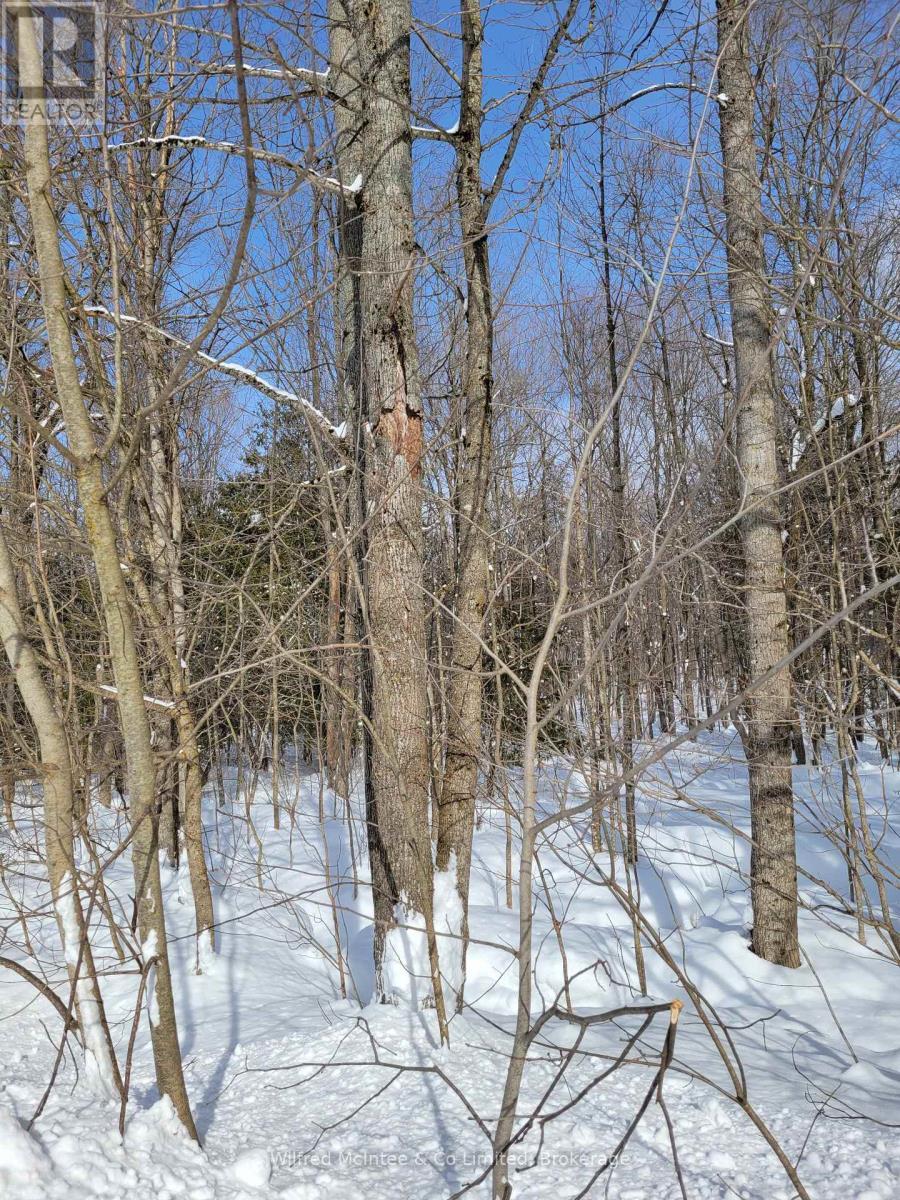 Ptlt 26 Mulock Road, West Grey, ON