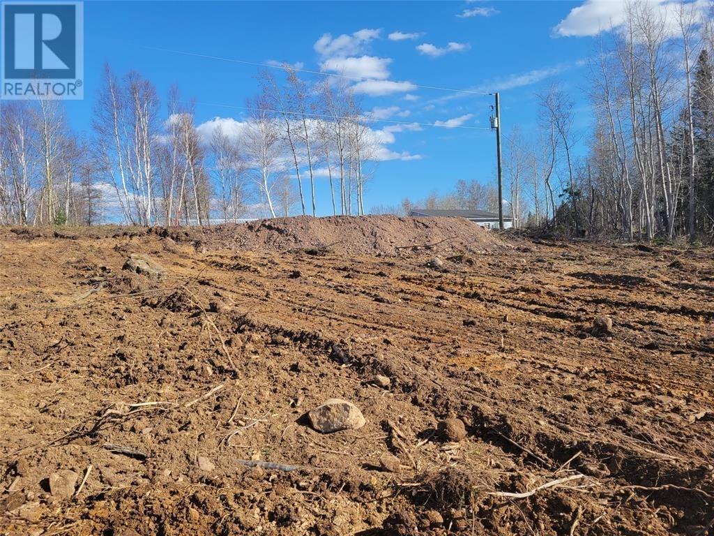 92-106 Trans-Canada Highway, Bishop'S Falls, NL