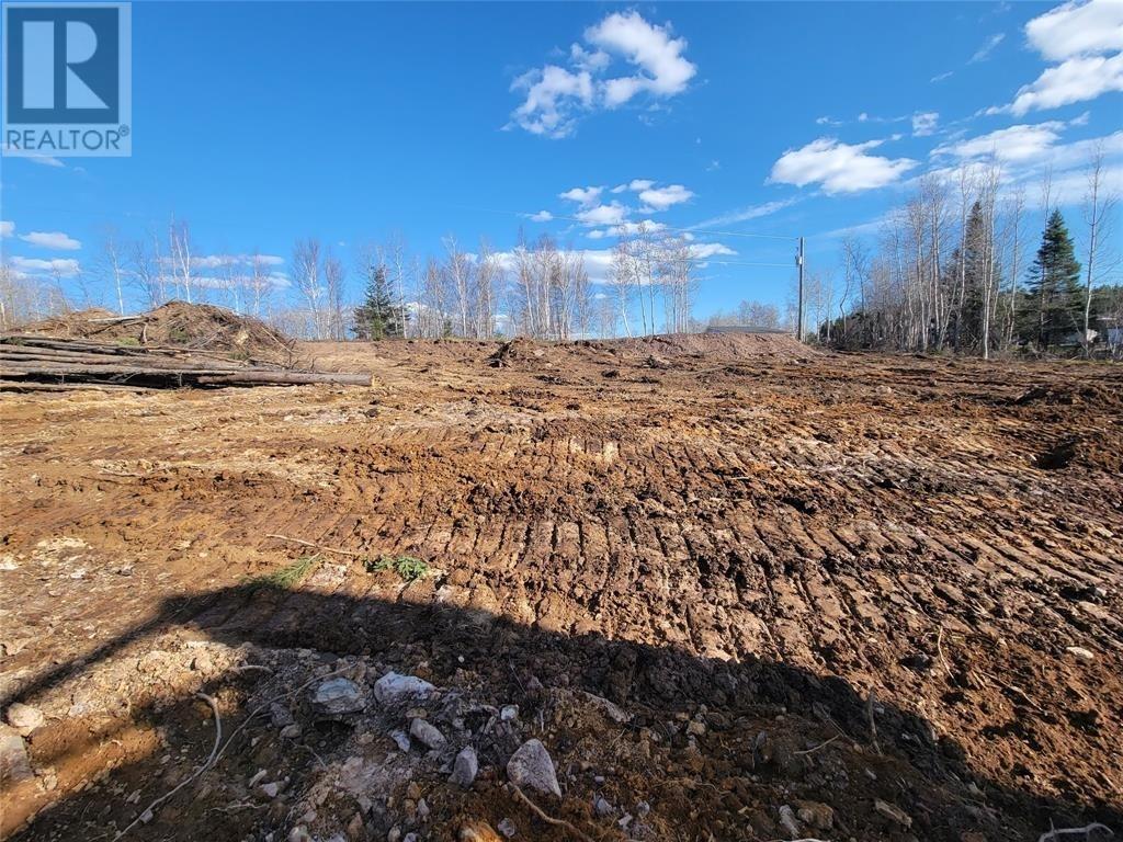 92-106 Trans-Canada Highway, Bishop'S Falls, NL