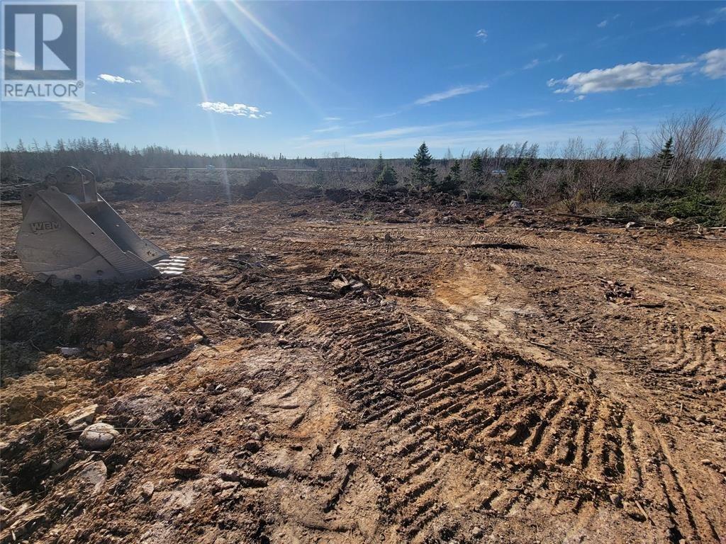 92-106 Trans-Canada Highway, Bishop'S Falls, NL