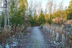 45 Ferndale Drive #211 Barrie -