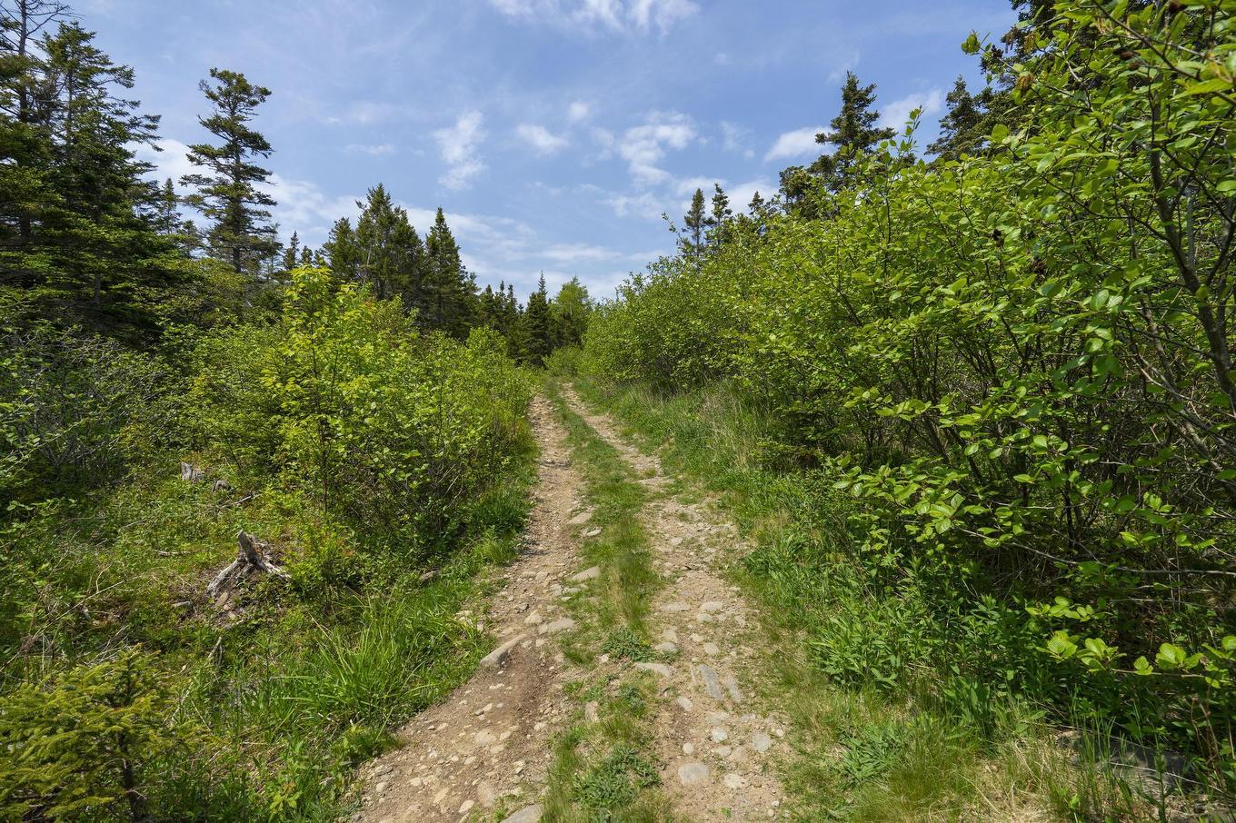 Lot 8 South View Drive, Freeport, NS