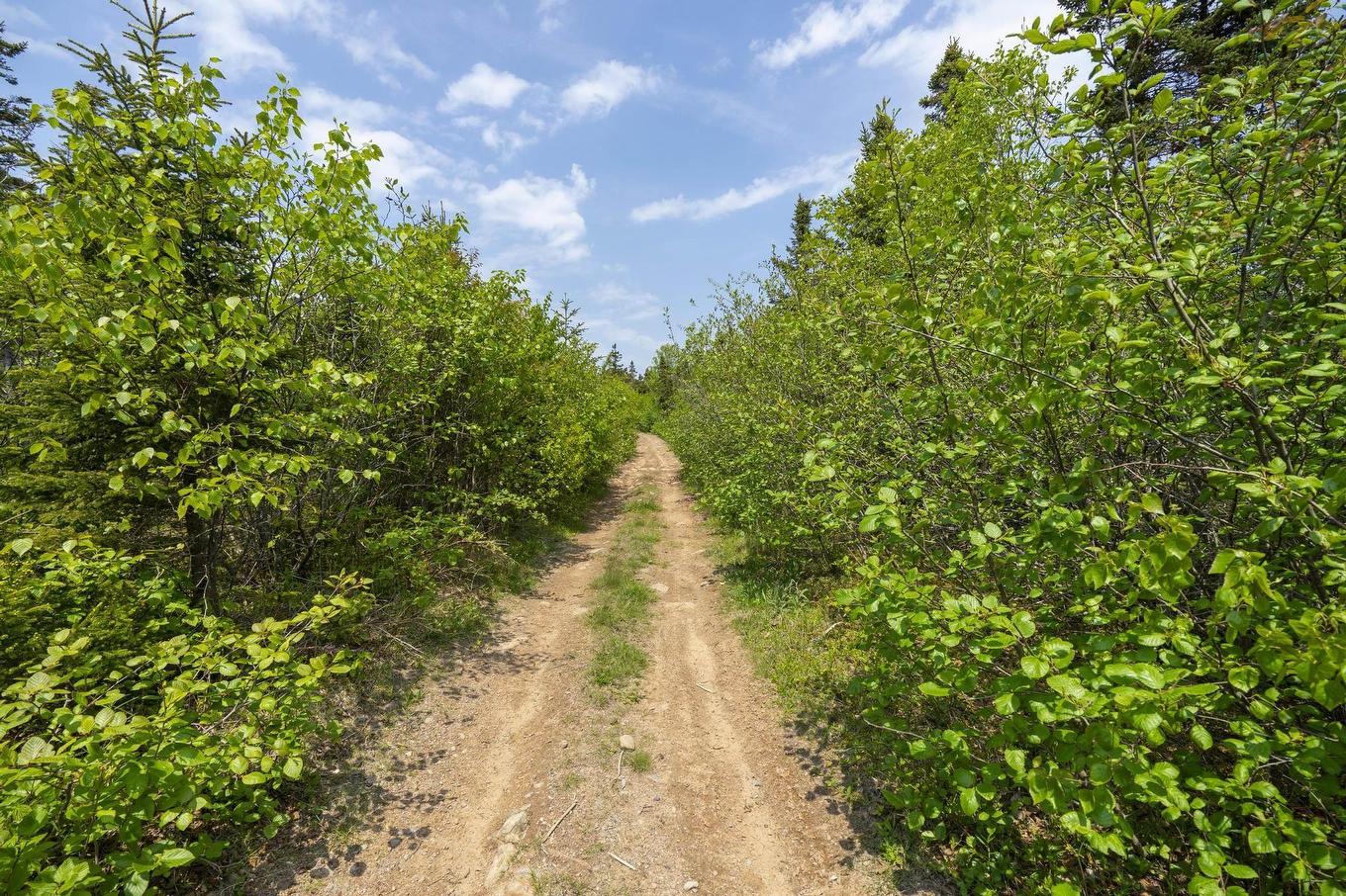 Lot 8 South View Drive, Freeport, NS