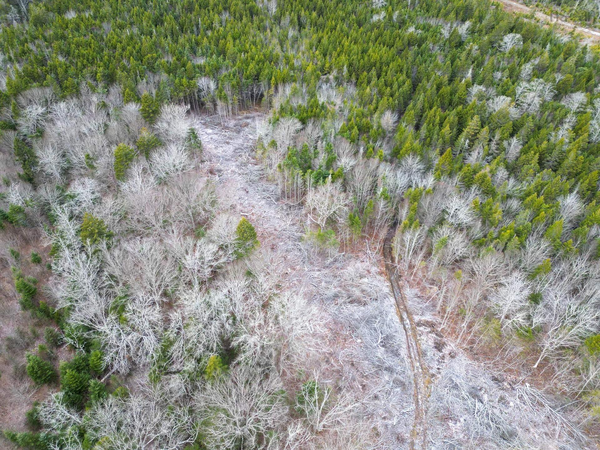 Lot Peter Leblanc Road, St. Alphonse, NS