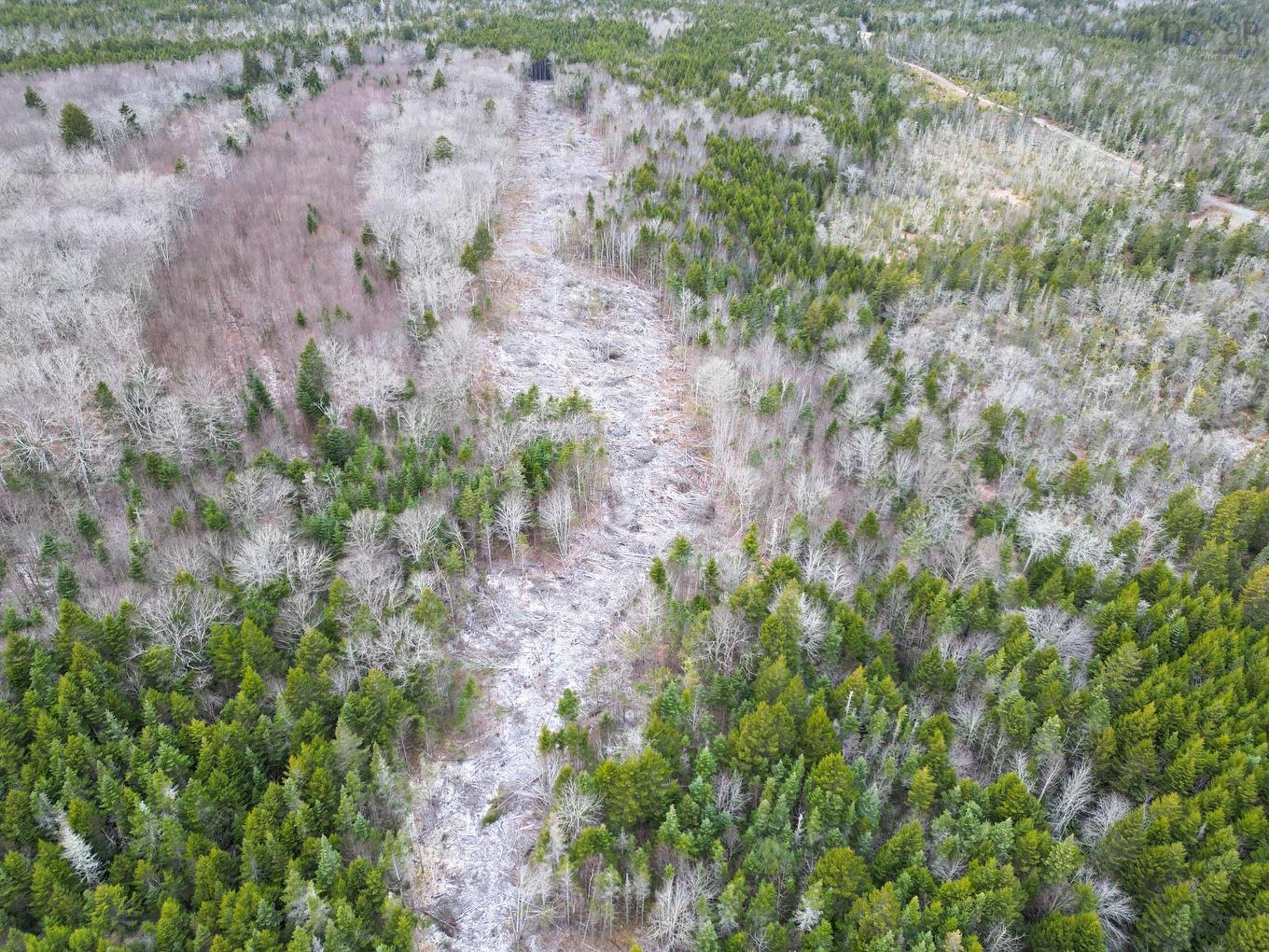 Lot Peter Leblanc Road, St. Alphonse, NS