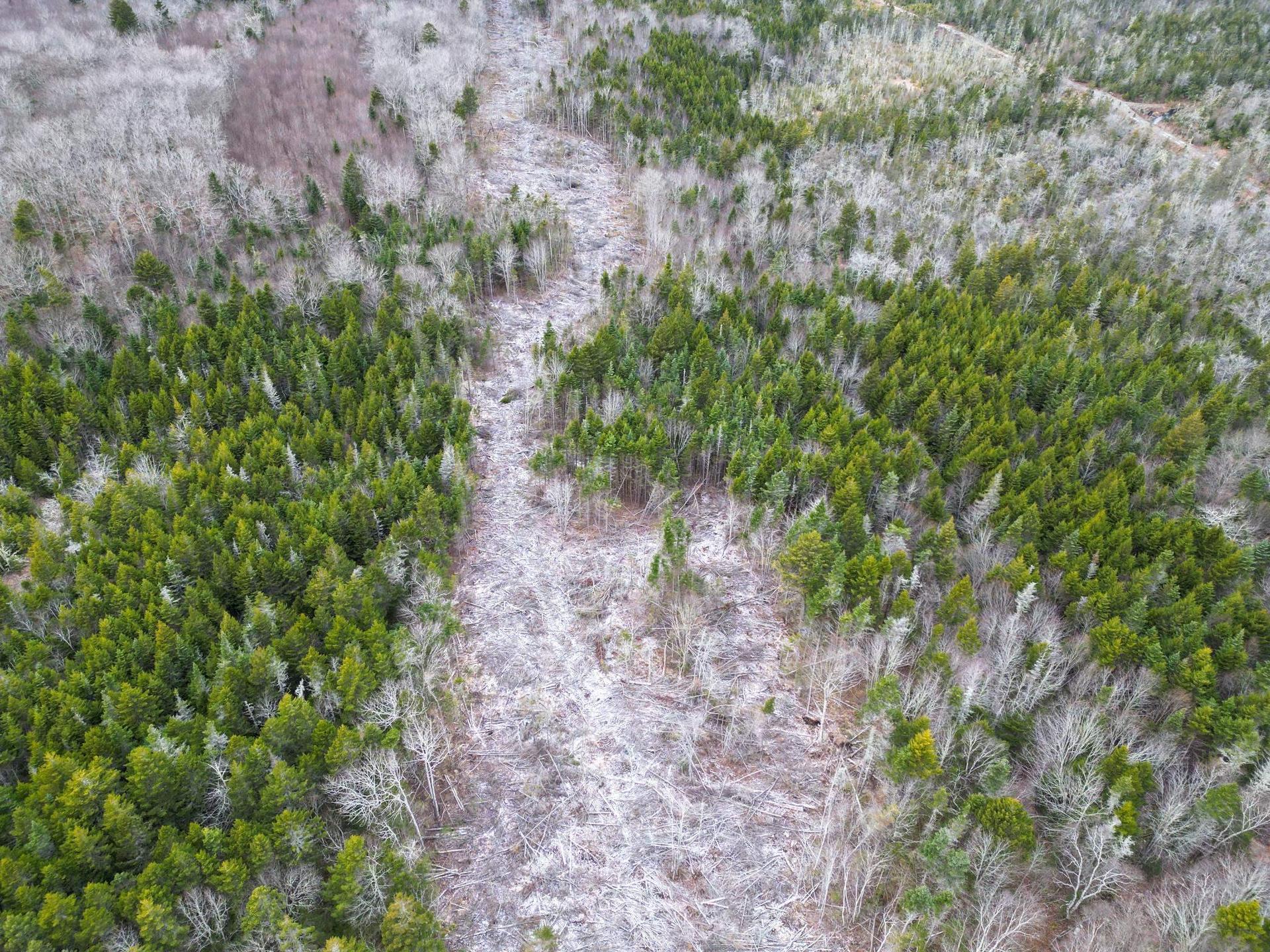 Lot Peter Leblanc Road, St. Alphonse, NS