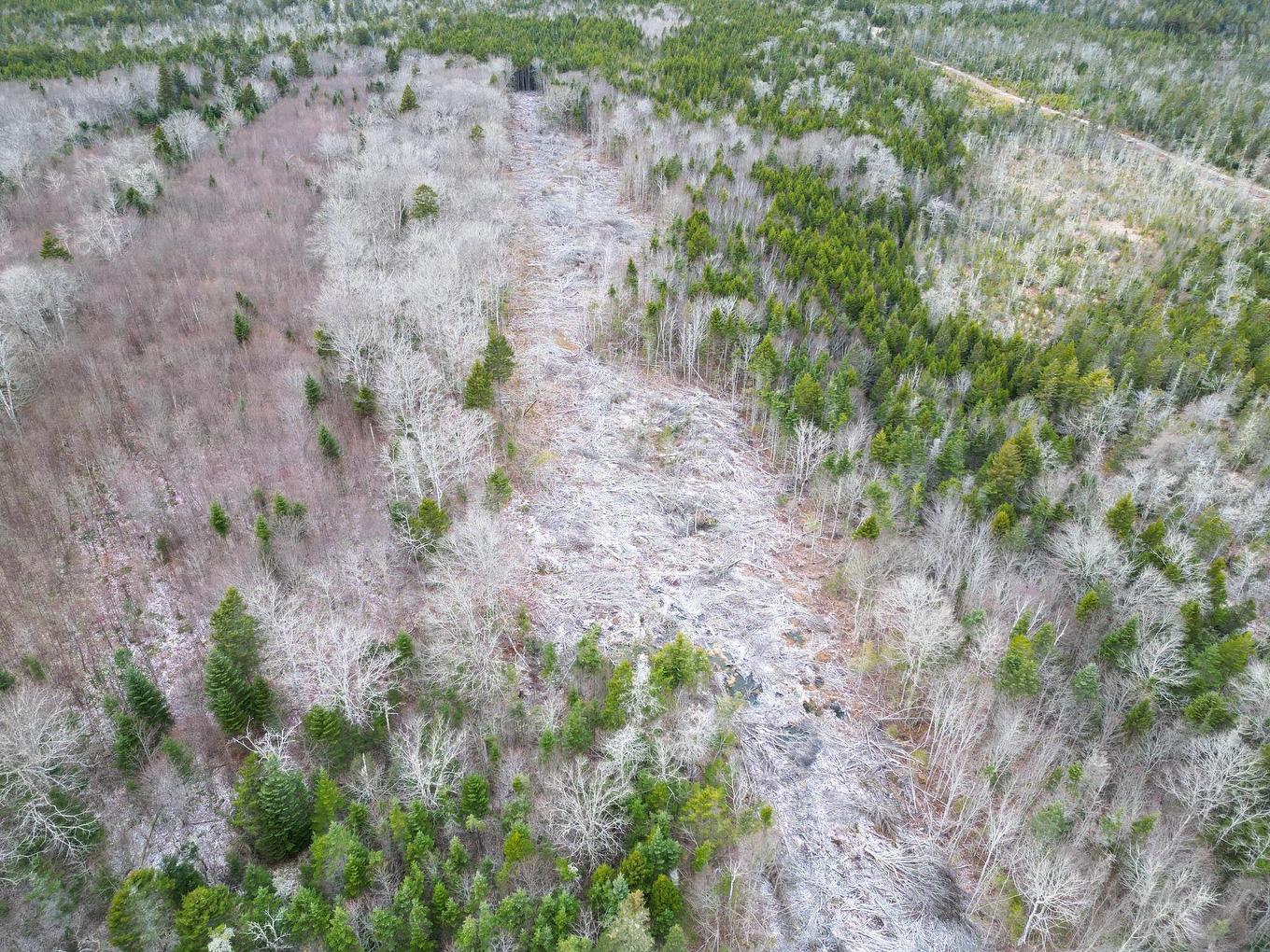 Lot Peter Leblanc Road, St. Alphonse, NS