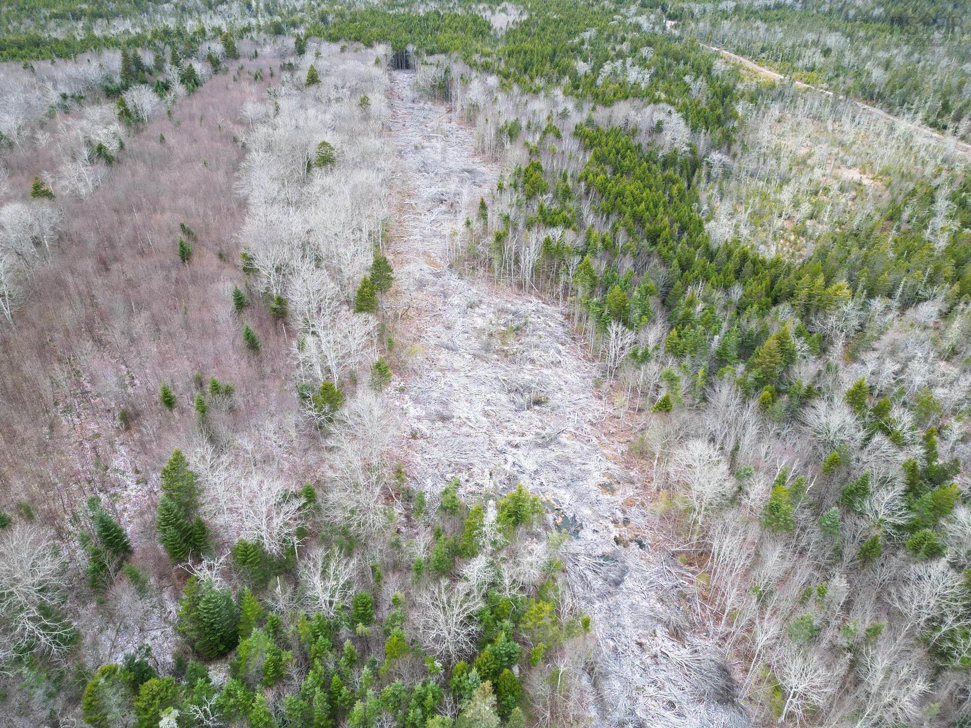 Lot Peter Leblanc Road, St. Alphonse, NS