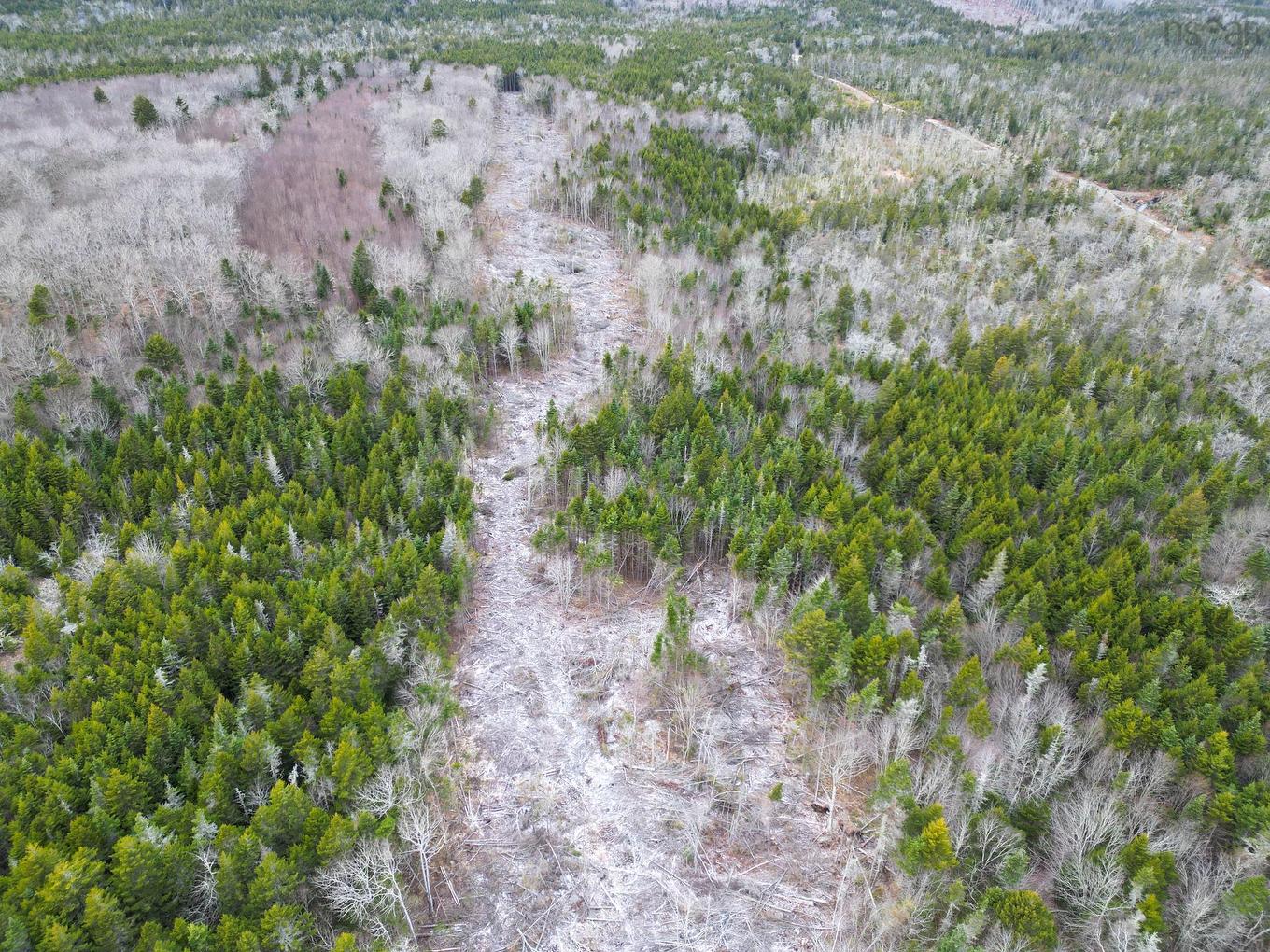 Lot Peter Leblanc Road, St. Alphonse, NS