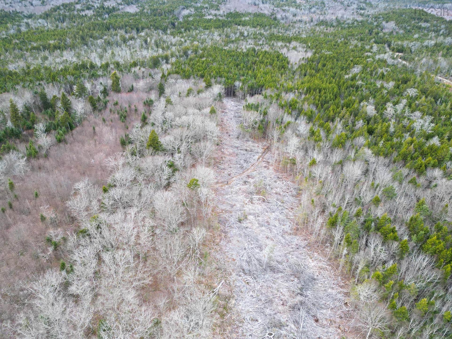 Lot Peter Leblanc Road, St. Alphonse, NS