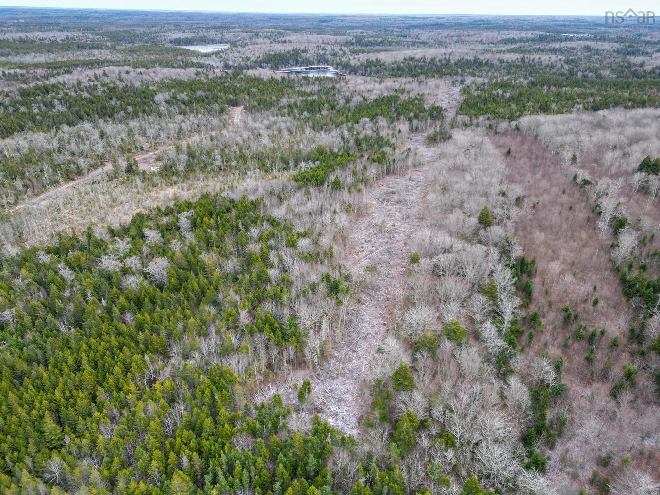 Lot Peter Leblanc Road, St. Alphonse, NS