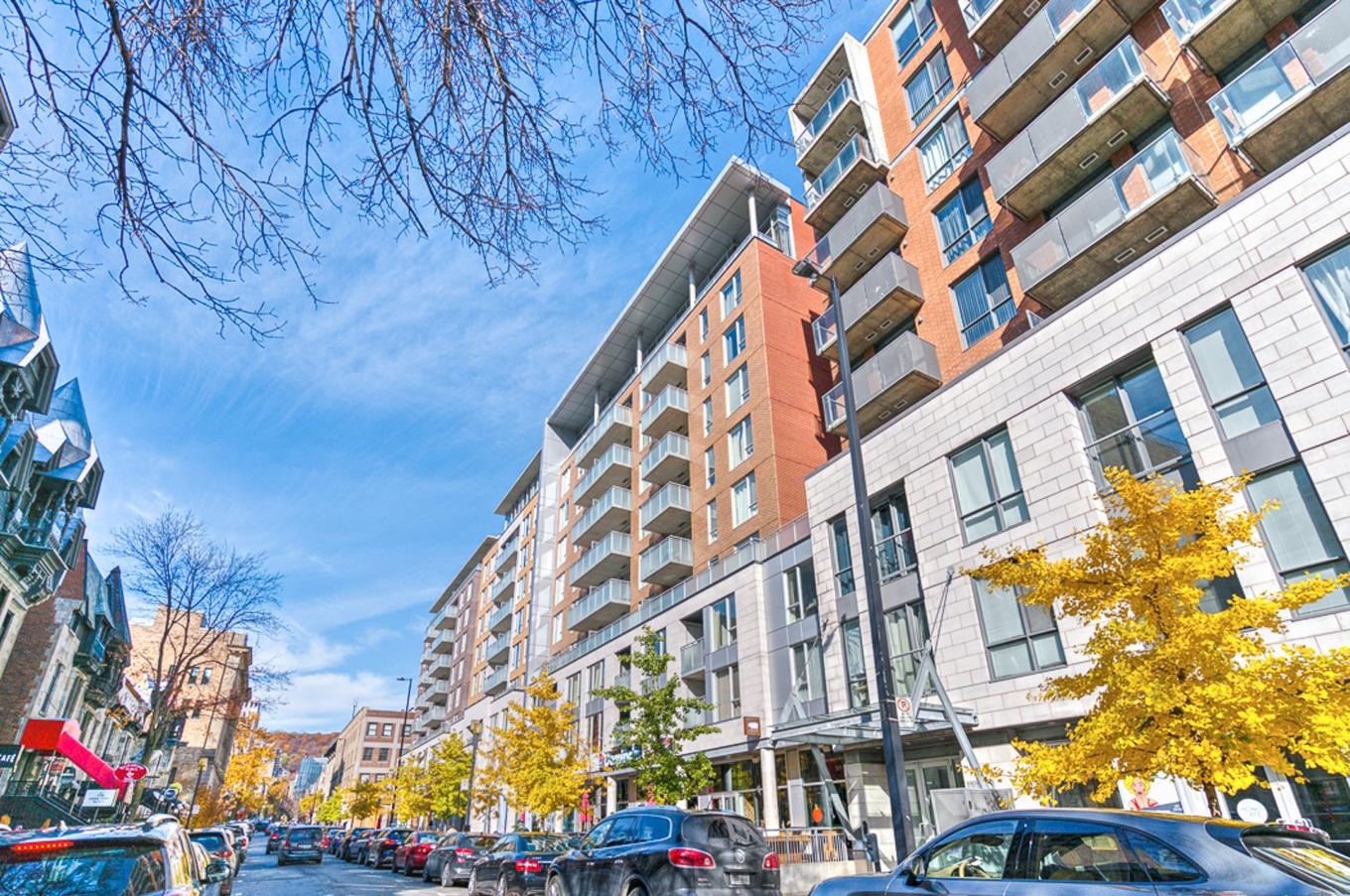 Façade - 806-1199 Rue Bishop, Montréal (Ville-Marie), QC - Outdoor