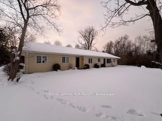 3 Starrview Crescent, Mono, ON - Outdoor