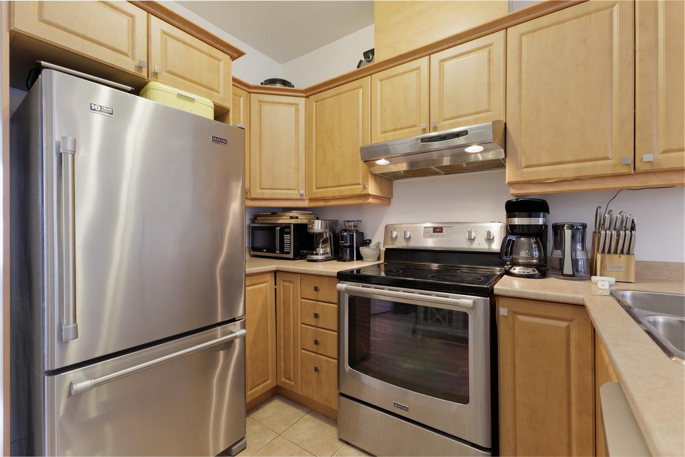 Kitchen - 202-202 - 470 Rue Garneau, Montréal (Le Plateau-Mont-Royal), QC - Indoor Photo Showing Kitchen With Double Sink