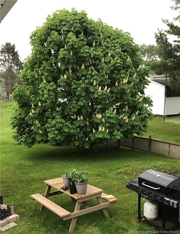 318 Sunset, Beresford, NB