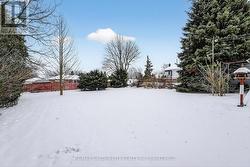 More Back Yard Views -