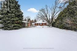 View from the Very Back -