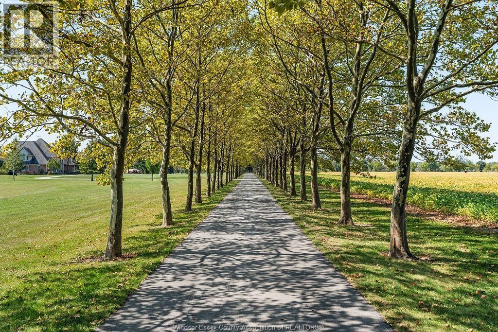 5938 Concession 5 North, Amherstburg, ON - Outdoor With View