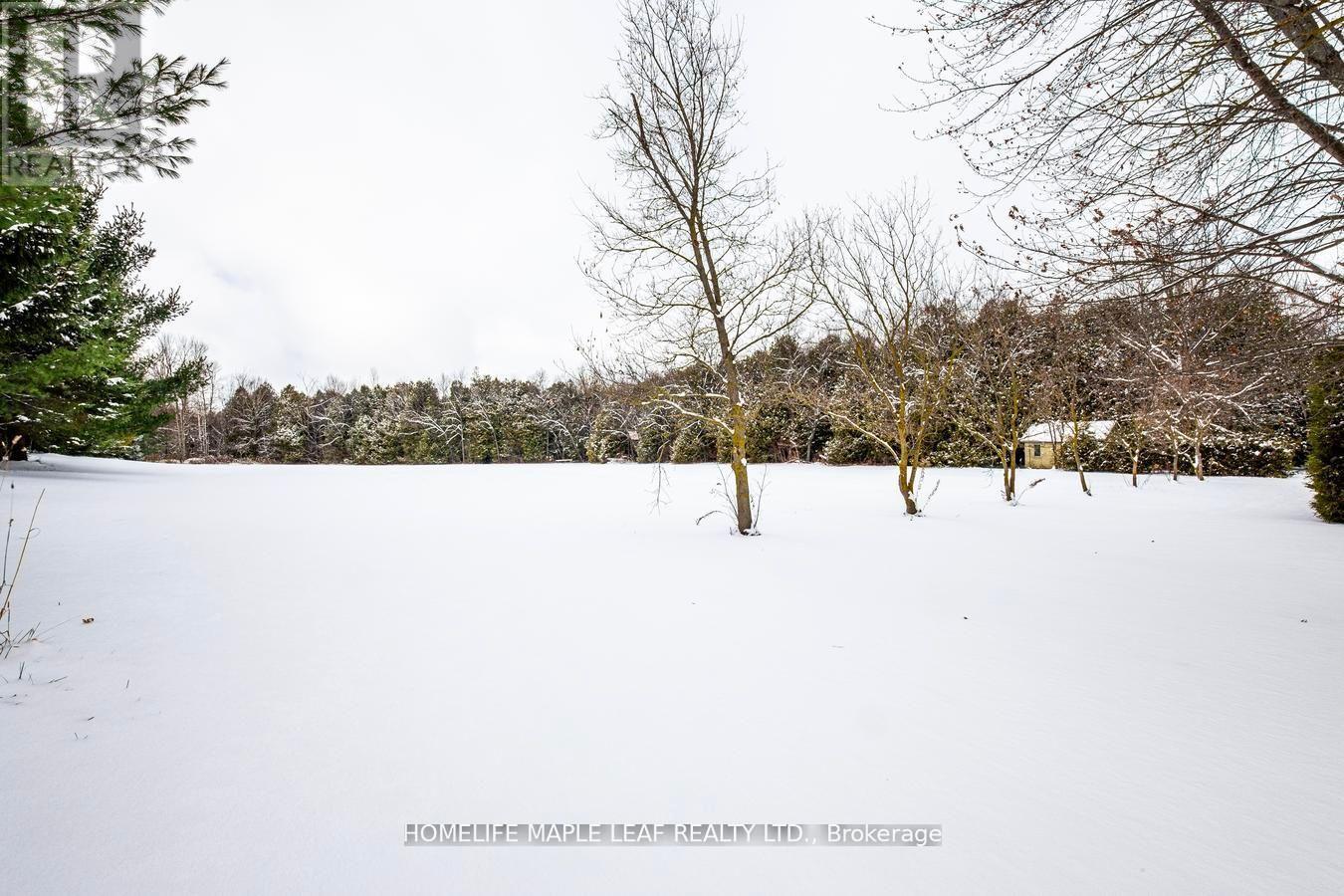 253048 9Th Line, Amaranth, ON - Outdoor With View