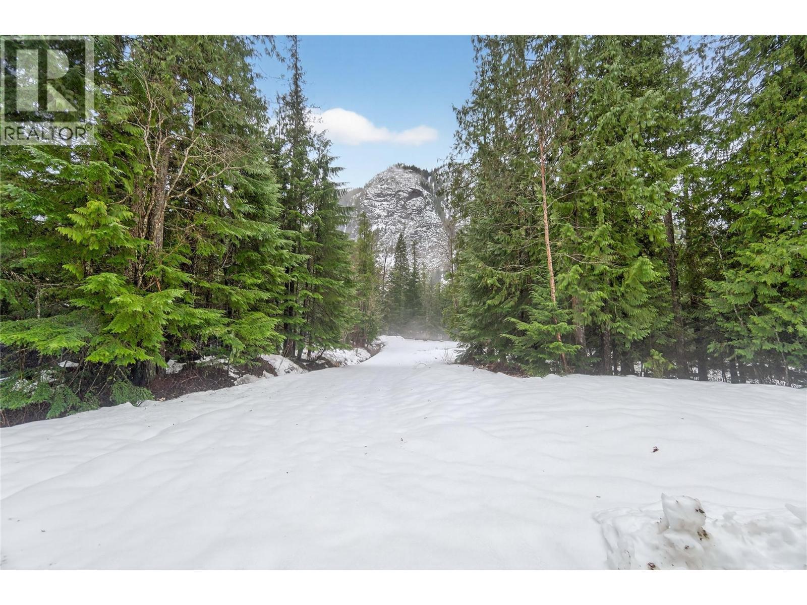 3277 Loschinski Road, Revelstoke, BC